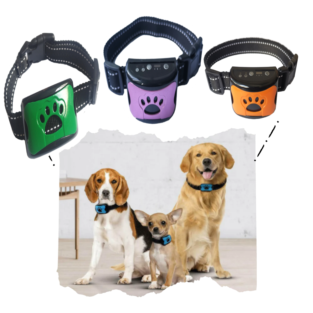 NiceBrushes™ Anti-barking collar for dogs